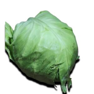 Cabbage